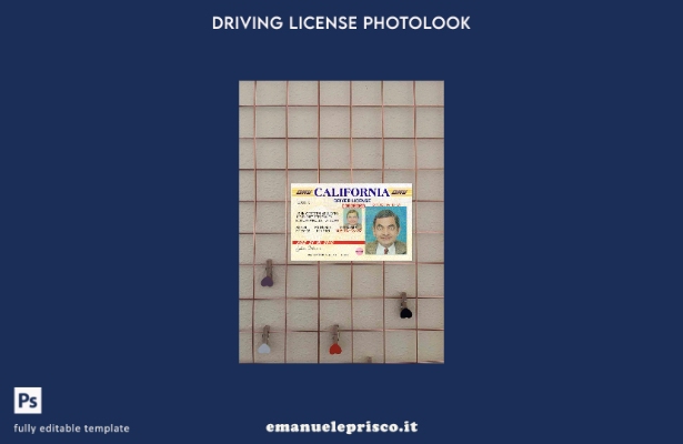 modello FRONTALE photolook versione patente di guida USA California stile verifi